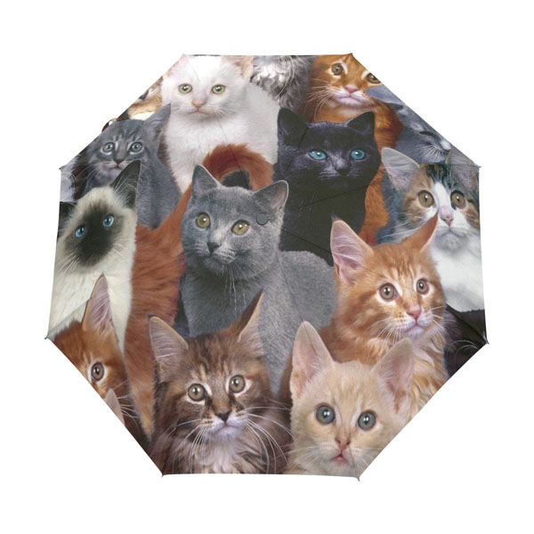 [해외] MAKIKU 고양이 무늬 접이식 양산 우산 자동 개폐
