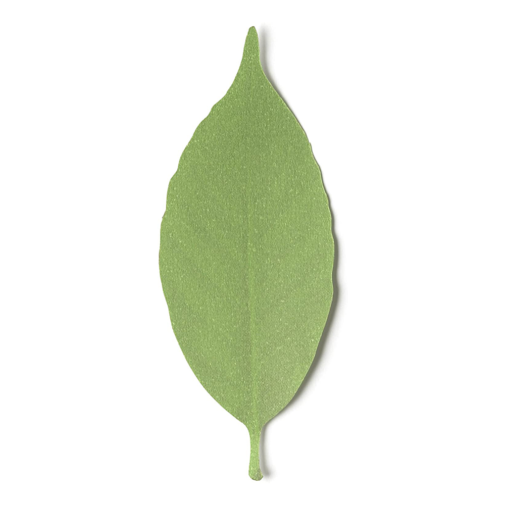 [해외] 온도로 색 변하는 온도계 나뭇잎 L SIZE 5매 D-710-L